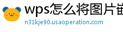 wps怎么将图片嵌入文字里去